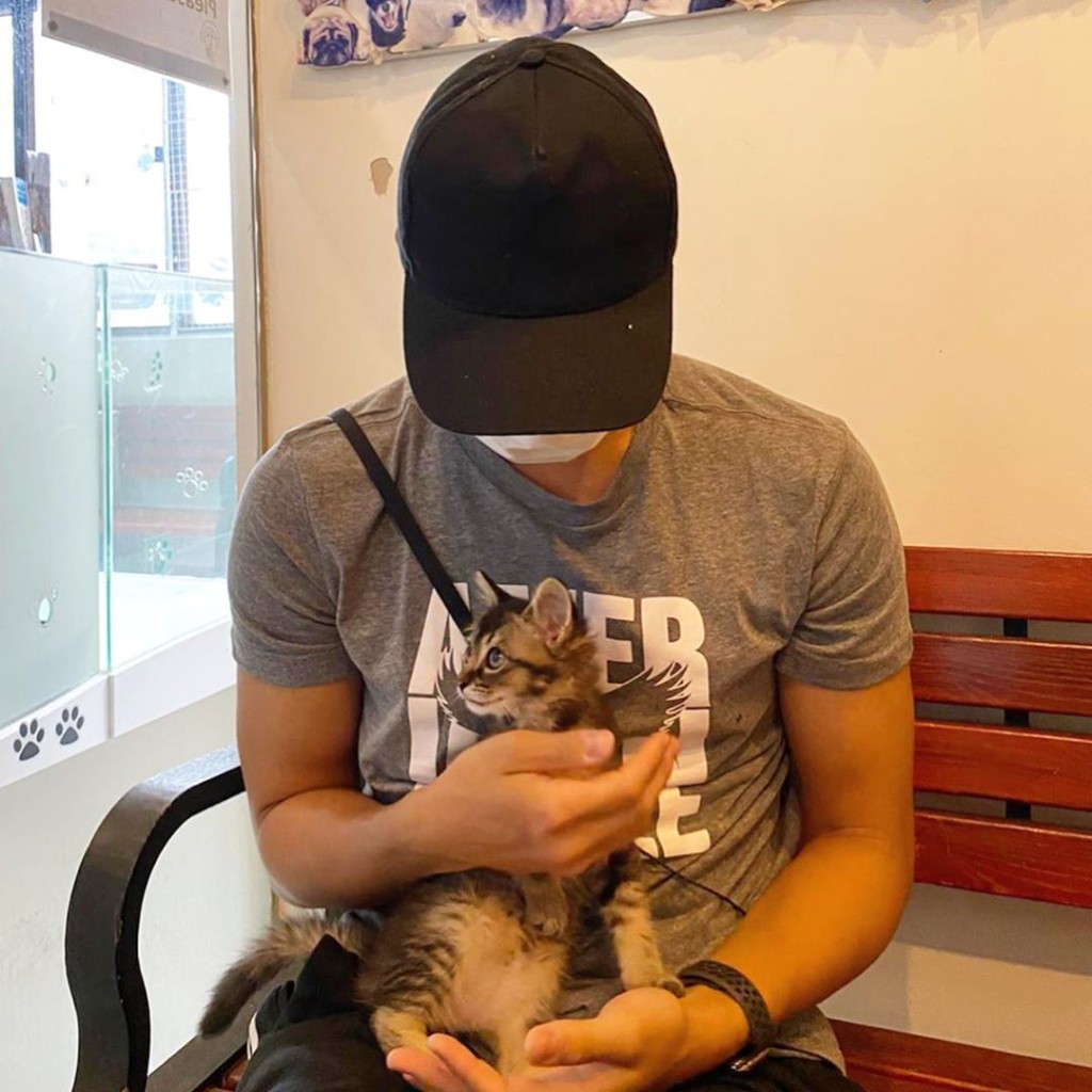 坤哥细个一直好想养宠物，如今终于梦想成真，领养了一只猫B女。