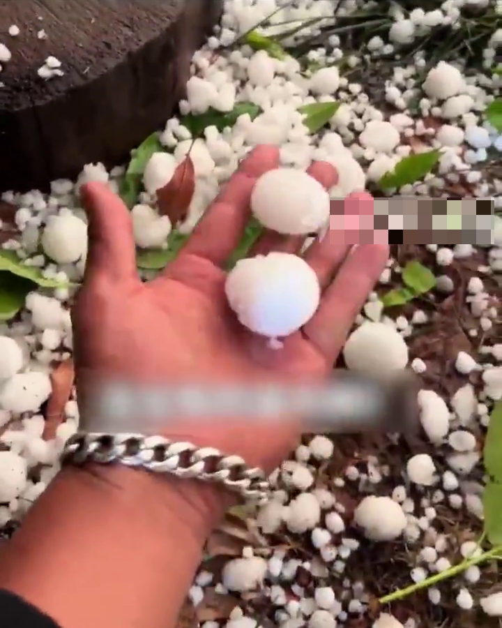 昆明突落下鸡蛋大冰雹。