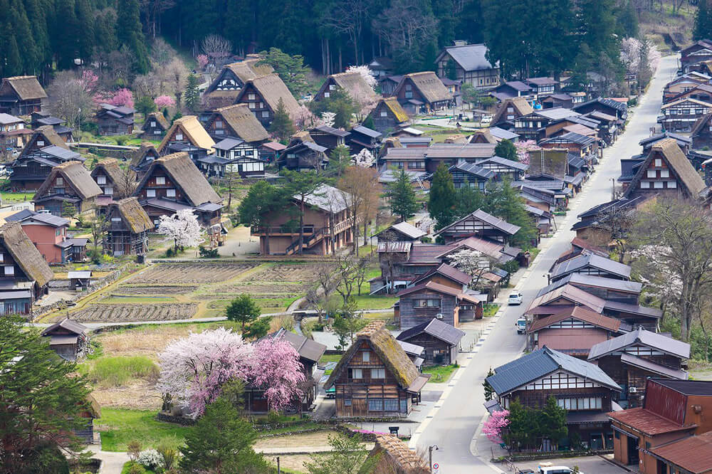 白川鄉在1995年被列入世界文化遺產。網圖