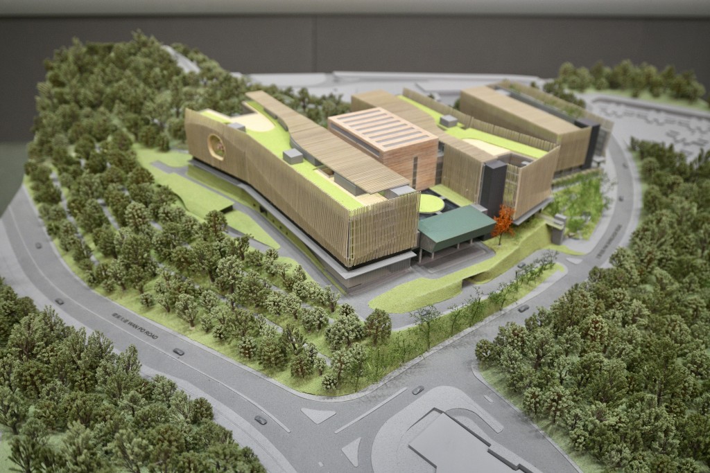 中医医院概念模型。资料图片