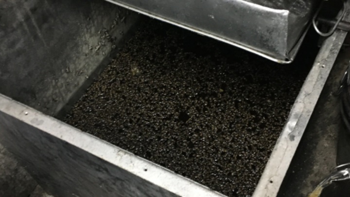 糖水槽中有大量蜜蜂屍體。網上圖片