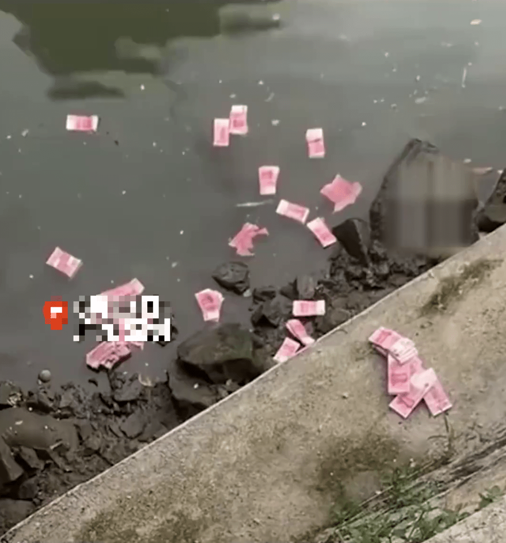 深圳河道驚現大疊鈔票。 深圳河道驚現大疊鈔票。