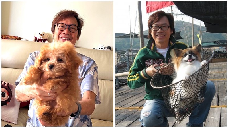 彭健新終走出OK仔離世陰霾 宣布新愛犬O Cute仔登場 網民爆笑留言：恭喜又有新主人