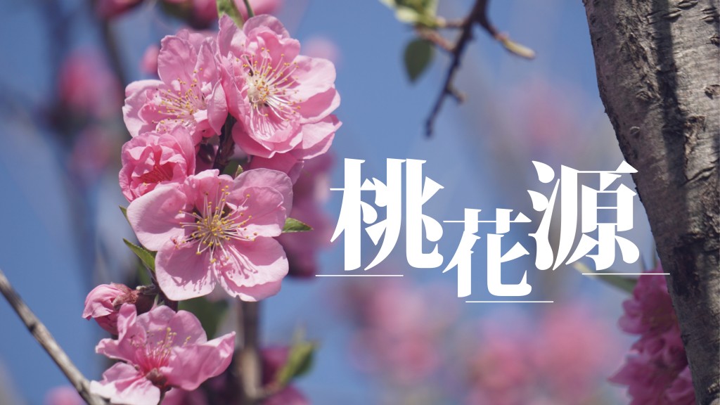 陶傑 - 類比欠妥貼｜桃花源