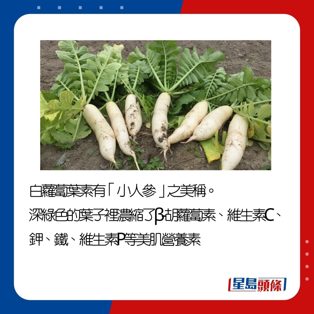 带眼识「菜」│蔬菜变色出黑点不是变坏? 日本蔬菜达人表示一定要买 | 星岛日报