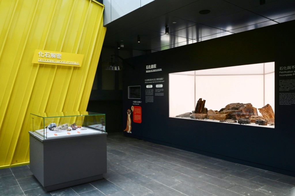 木化石体验馆设导赏团、不同主题工作坊可供参与