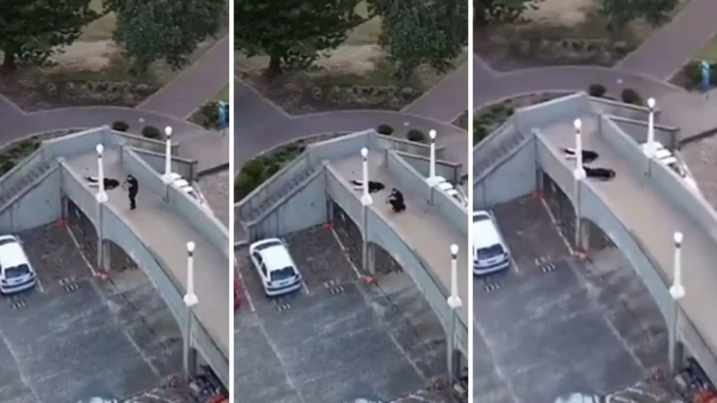 悉尼邦迪海灘槍手在天橋瘋狂掃射，其後遭狙擊手擊傷倒地。X@PunishMeNot