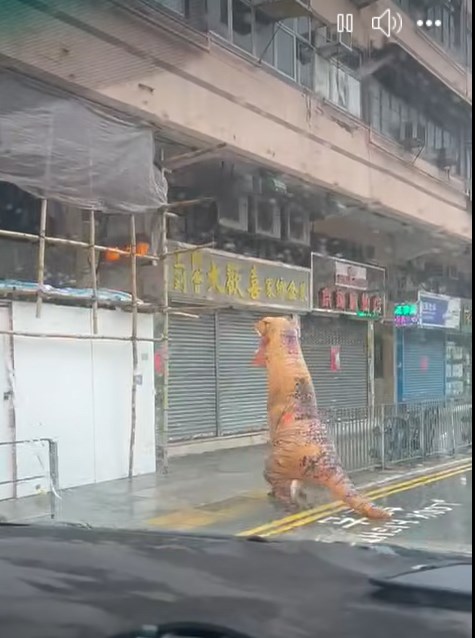 樓主留言指「地上最強侏羅紀，佢聰明丫反正帶 遮都冇用」；短片旁白則指「嘩！侏羅紀啲龍都 出晒嚟呀喂，打風都頂唔住......」。fb「大埔 TAI PO」截圖