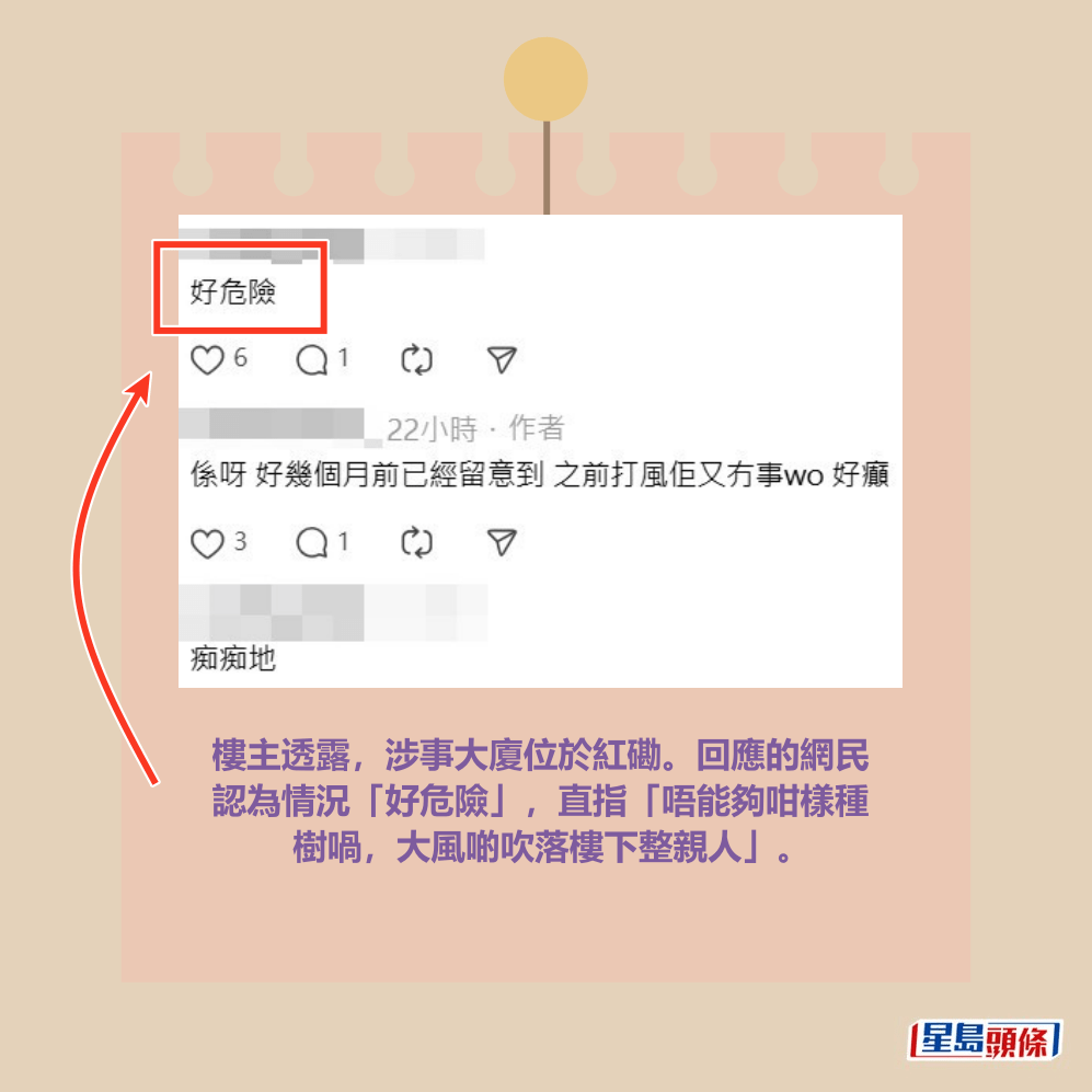 樓主透露，涉事大廈位於紅磡。回應的網民 認為情況「好危險」，直指「唔能夠咁樣種 樹喎，大風啲吹落樓下整親人」。Threads截圖