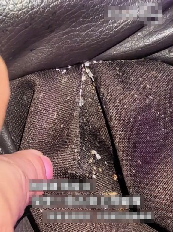陈女士发现按摩椅下有无数虫在爬。《羊城晚报》 陈女士发现按摩椅下有无数虫在爬。《羊城晚报》