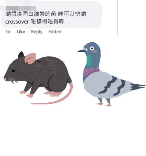 网民：啲鼠疫同白鸽带的菌，咪可以快啲crossover（交叉）咁样得唔得㗎。fb「将军澳主场」截图