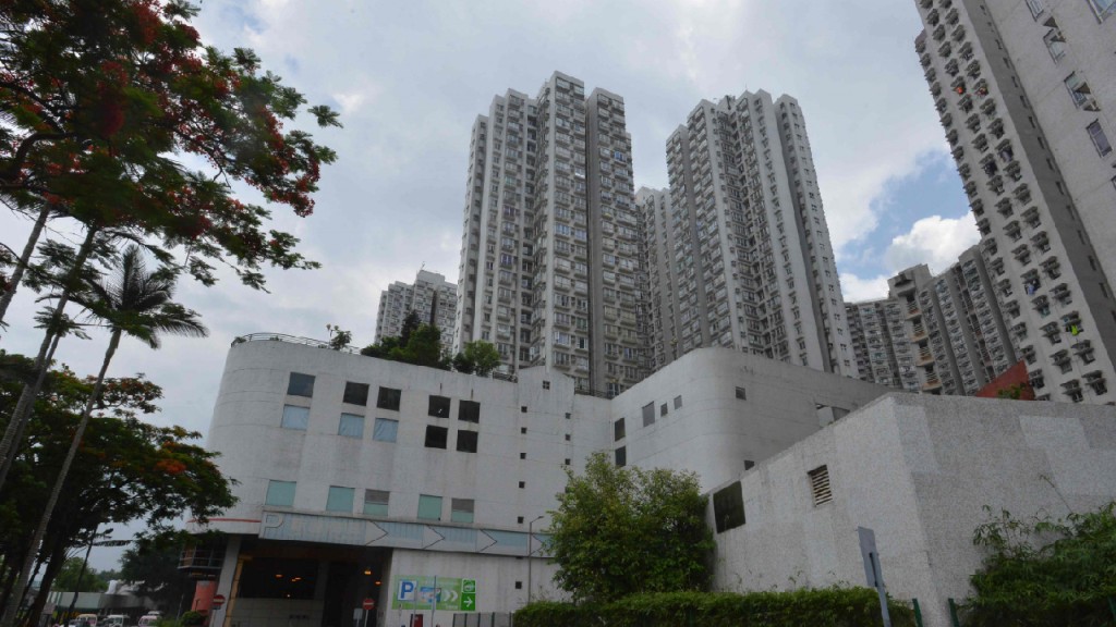 大埔新達廣場。資料圖片
