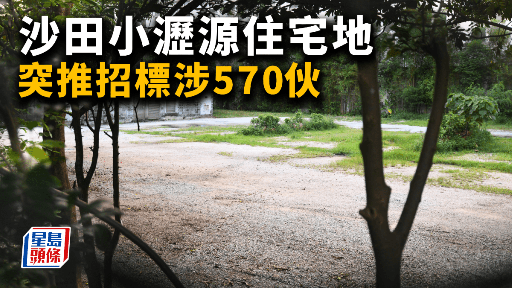 沙田小瀝源住宅地 突推招標涉570伙