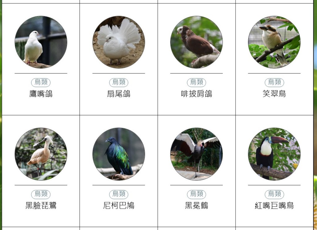 香港動植物公園動物圖鑑。「香港動植物公園」官方網站截圖 香港動植物公園動物圖鑑。「香港動植物公園」官方網站截圖