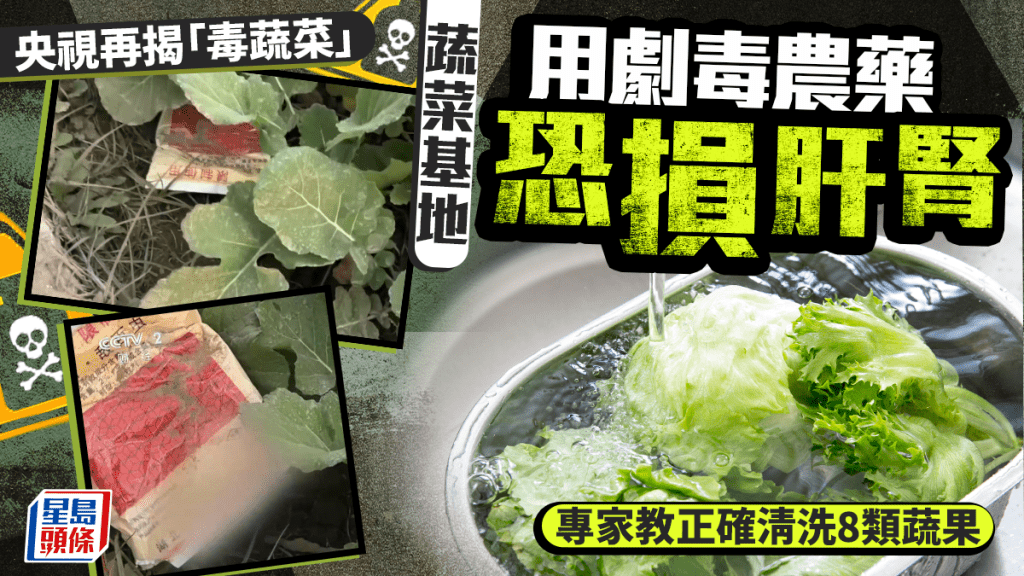 央視再揭「毒蔬菜」！蔬菜基地用劇毒農藥恐損肝腎 專家教正確清洗8類蔬果