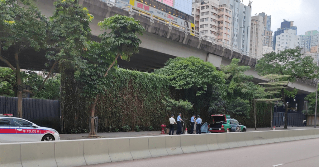 的士司机当场证实不治。网上图片