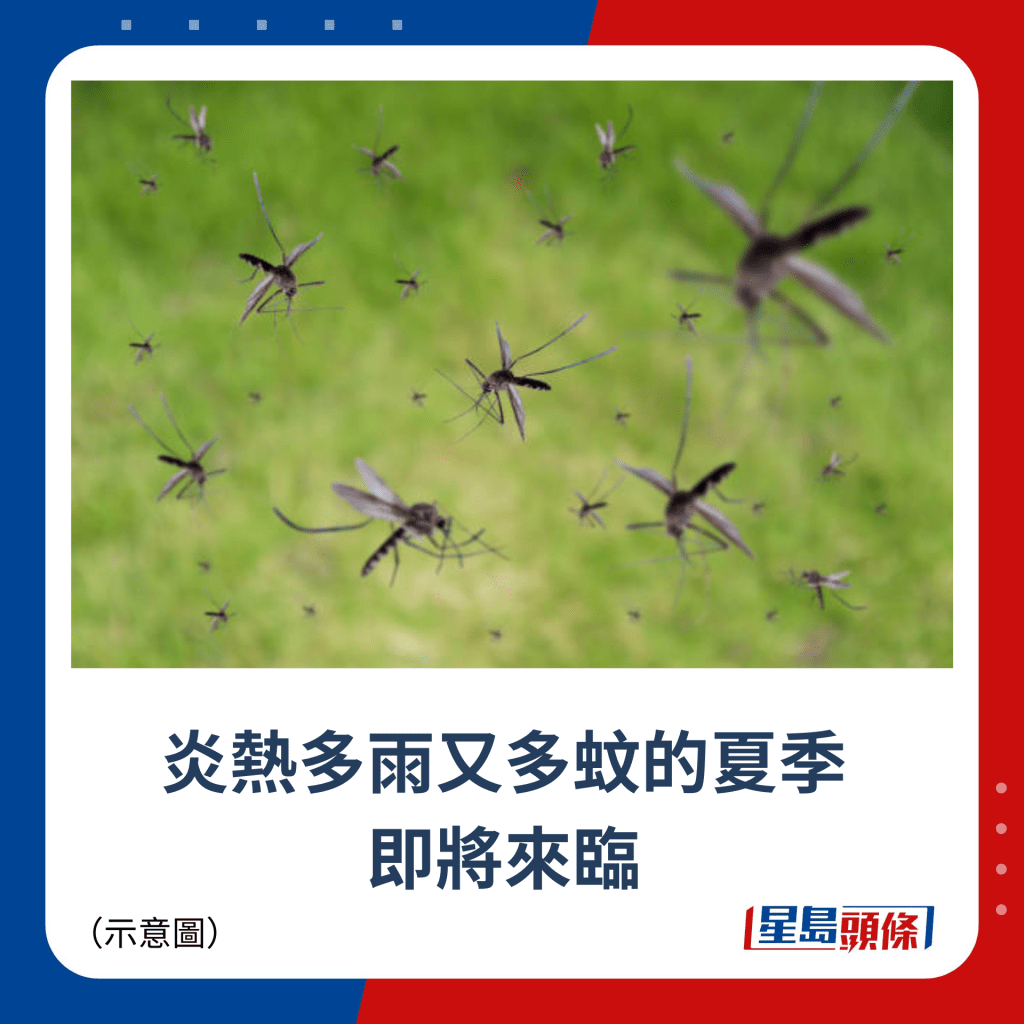 炎熱多雨又多蚊的夏季 即將來臨
