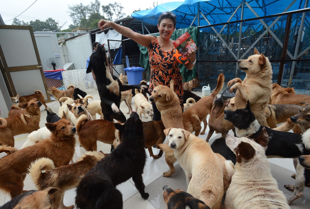 「香港流浪狗之家 」創辦人Angela在fb發文，指與賣狗肉事件無關。資料圖片