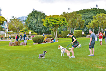 ■馬會申請在彭福公園西北部分興建馬匹體驗中心。