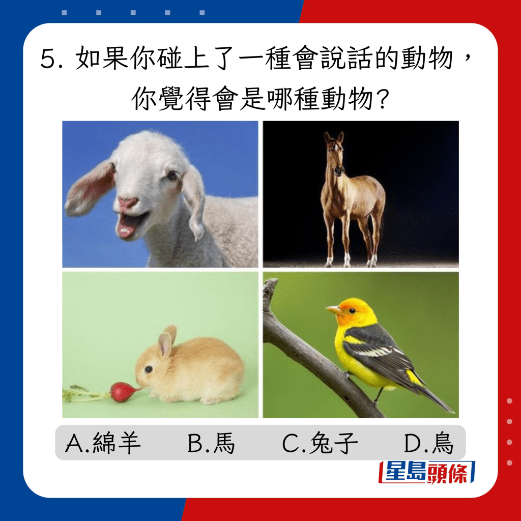 5. 如果你碰上了一种会说话的动物，你觉得会是哪种动物?