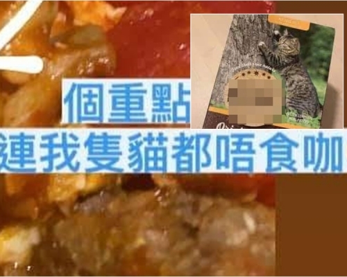 網民嫲嫲誤將貓糧生肉煮成飯盒。網民Kit Woo圖片
