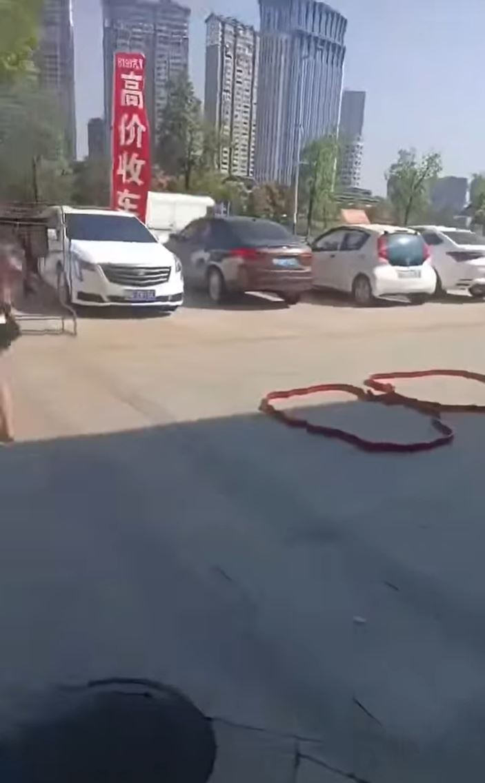 男子繞着新車疑灑上狗血。