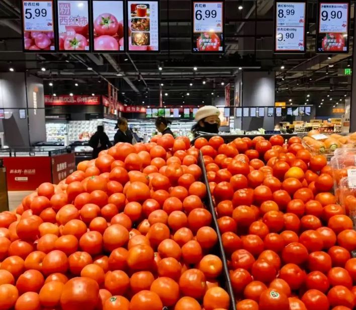 蕃茄價格不斷上漲。都市快報