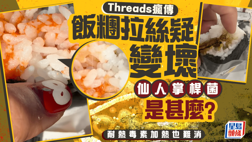 Threads瘋傳飯糰拉絲疑變壞！拆解仙人掌桿菌 耐熱毒素加熱也難消