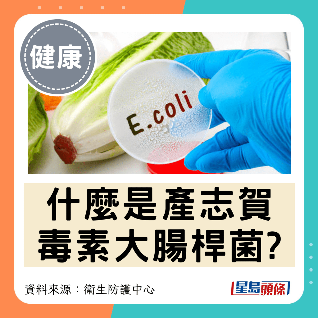 什么是产志贺 毒素大肠杆菌?