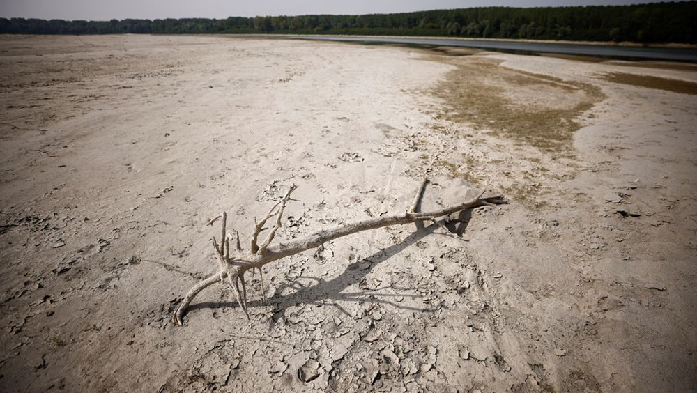 意大利迎來70年來最嚴重乾旱。路透社圖片
