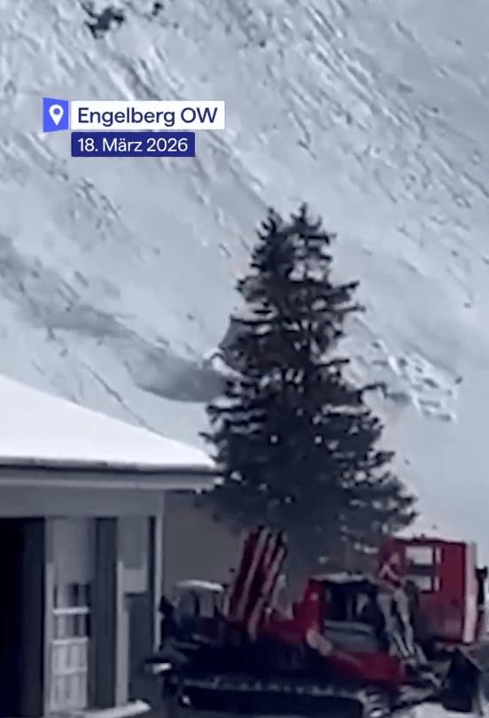 有目擊者拍攝到車廂失控沿山坡翻滾的情景。 有目擊者拍攝到車廂失控沿山坡翻滾的情景。