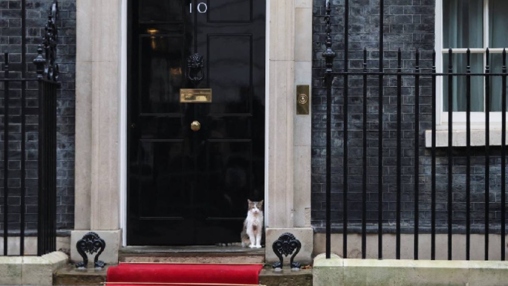 英国人眼中最可爱的政治常客。路透社