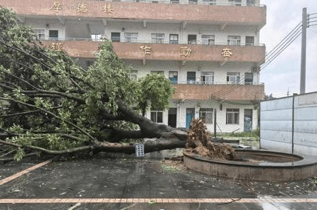 广州从化惊现龙卷风,吹塌工地棚架及树木。中新社 广州从化惊现龙卷风,吹塌工地棚架及树木。中新社