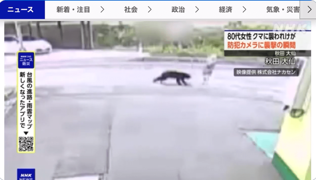 監視畫面顯示,老婦正在路上行走時,一頭體長約80公分的黑熊突然從後方衝出,跳起攻擊她。NHK新聞畫面截圖 監視畫面顯示,老婦正在路上行走時,一頭體長約80公分的黑熊突然從後方衝出,跳起攻擊她。NHK新聞畫面截圖