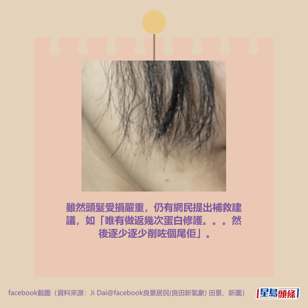 facebook截圖（資料來源：Ji Dai＠facebook良景居民(良田新氣象) 田景、新圍）