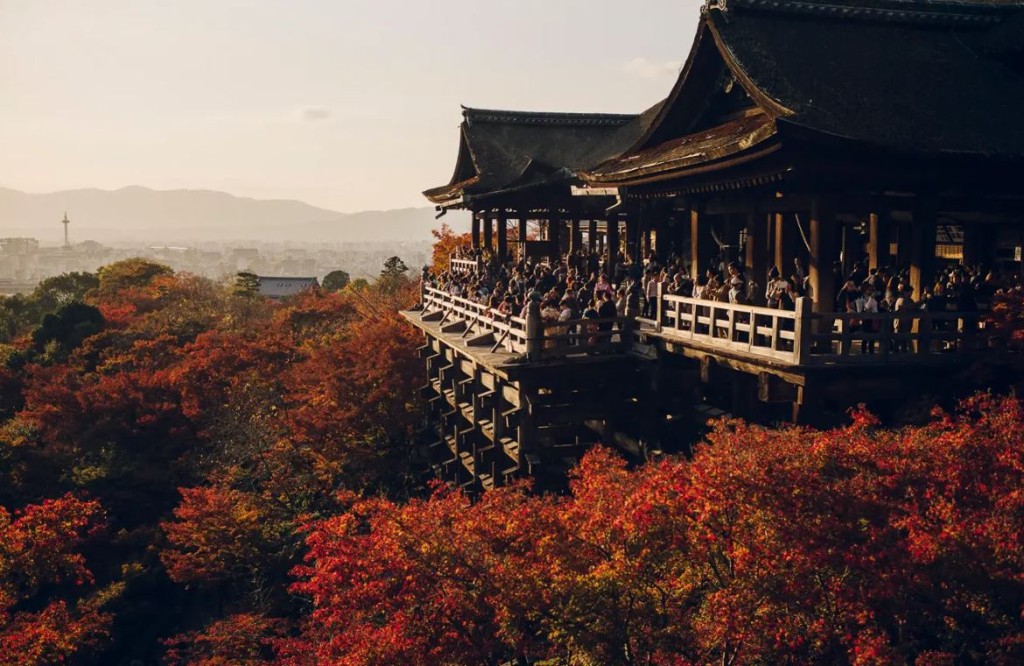 清水寺可說是京都最受歡迎的紅葉觀賞名所。