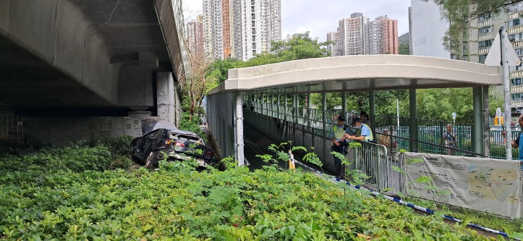 私家車剷入草叢。林思明攝