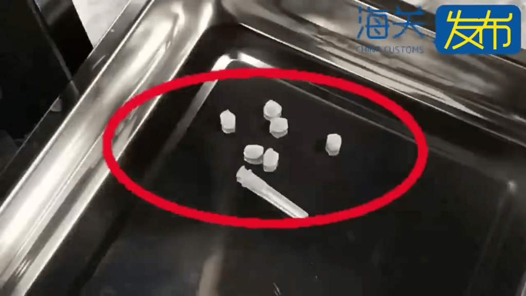 近日，西九龙站海关查获一名进境旅客在内裤夹层内藏匿海洛因，毛重1.7克。
