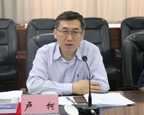 遼寧副省長盧柯。網圖
