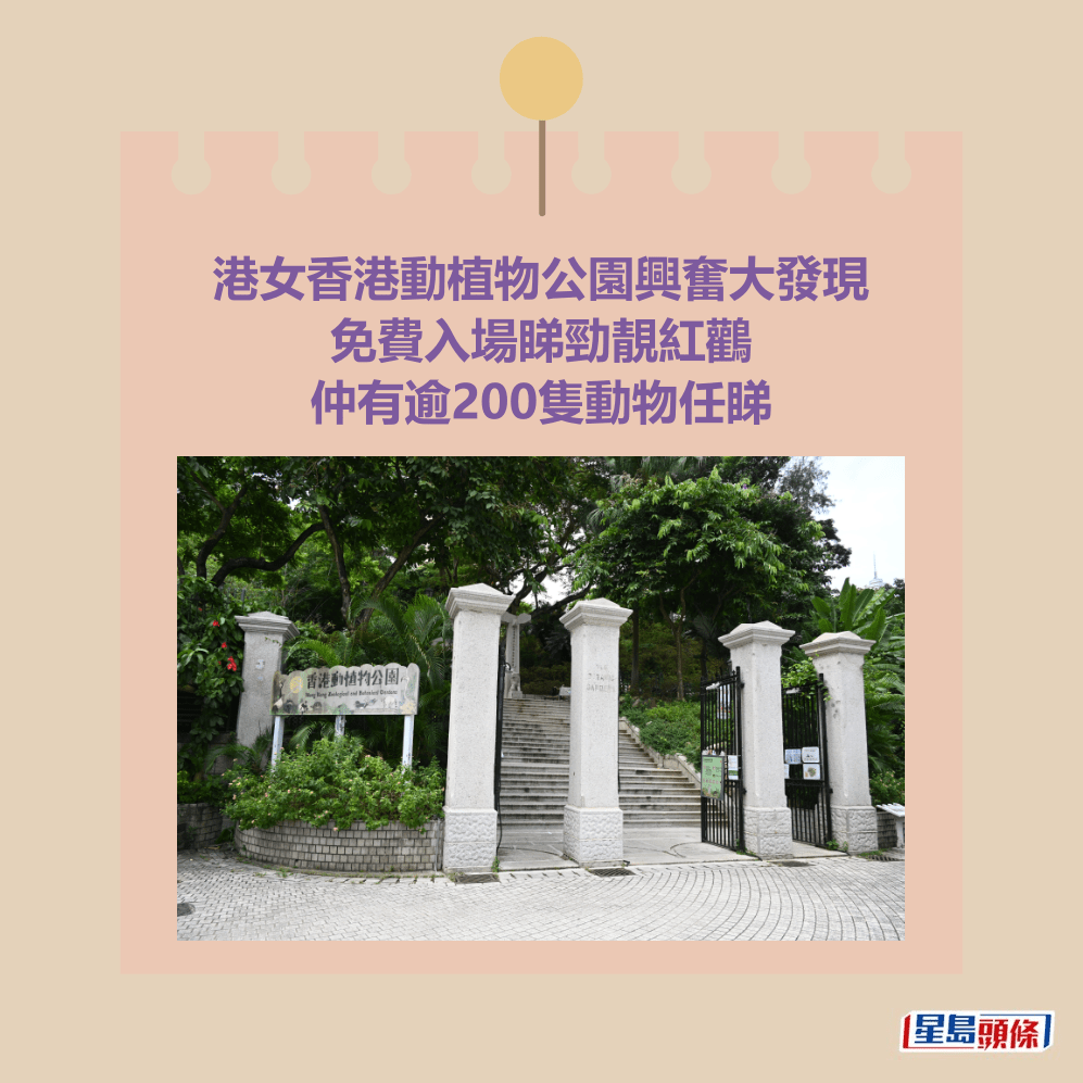 港女香港動植物公園興奮大發現 免費入場睇勁靚紅鸛 仲有逾200隻動物任睇。資料圖片 港女香港動植物公園興奮大發現 免費入場睇勁靚紅鸛 仲有逾200隻動物任睇。資料圖片