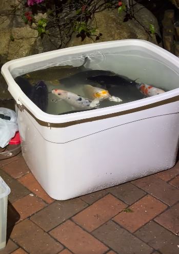 fb龜途 The Turtle's Inn圖片