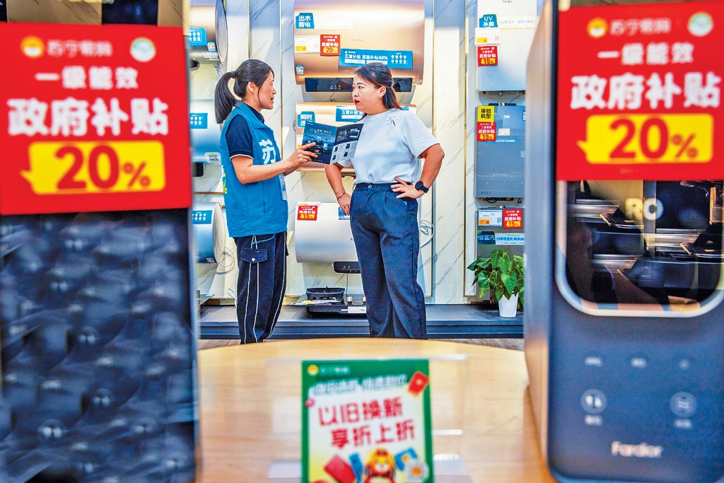 温州市苏宁电器，导购员为消费者介绍政府补贴政策。