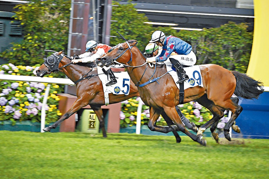 「祥華孝寬」上仗跑谷草千二表現進步，班德禮今次續操刀有信心補中。