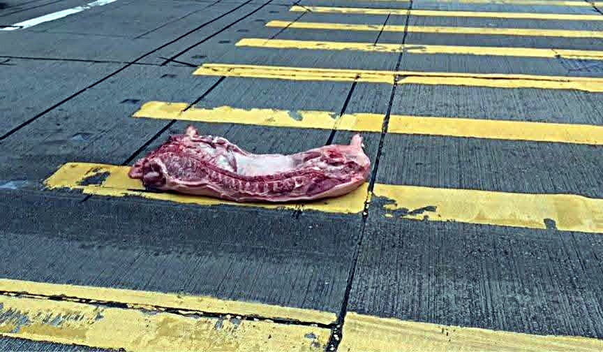 北角渣華道路中出現多件豬殼。fb：車cam L（香港群組）