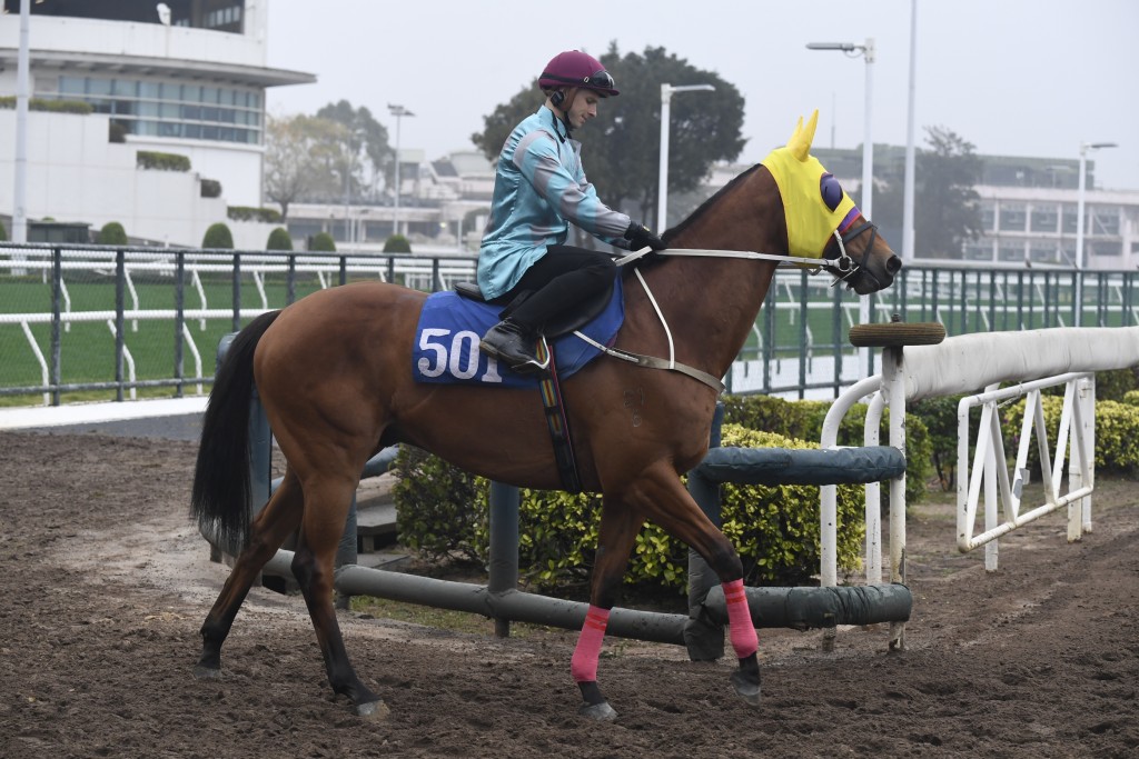 「將俠」這匹香港國際馬匹拍賣會馬當年身價六百萬。