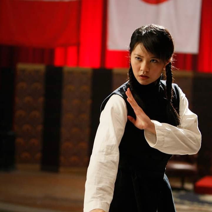 何佩珉曾演出电影《真假铁马骝》。