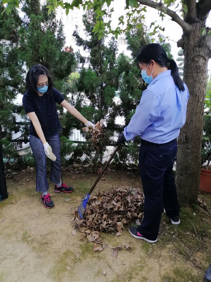 本港的屋苑日常綠化工程和園林護理會產生不少樹葉、樹枝、樹幹、雜草等園林廢物。