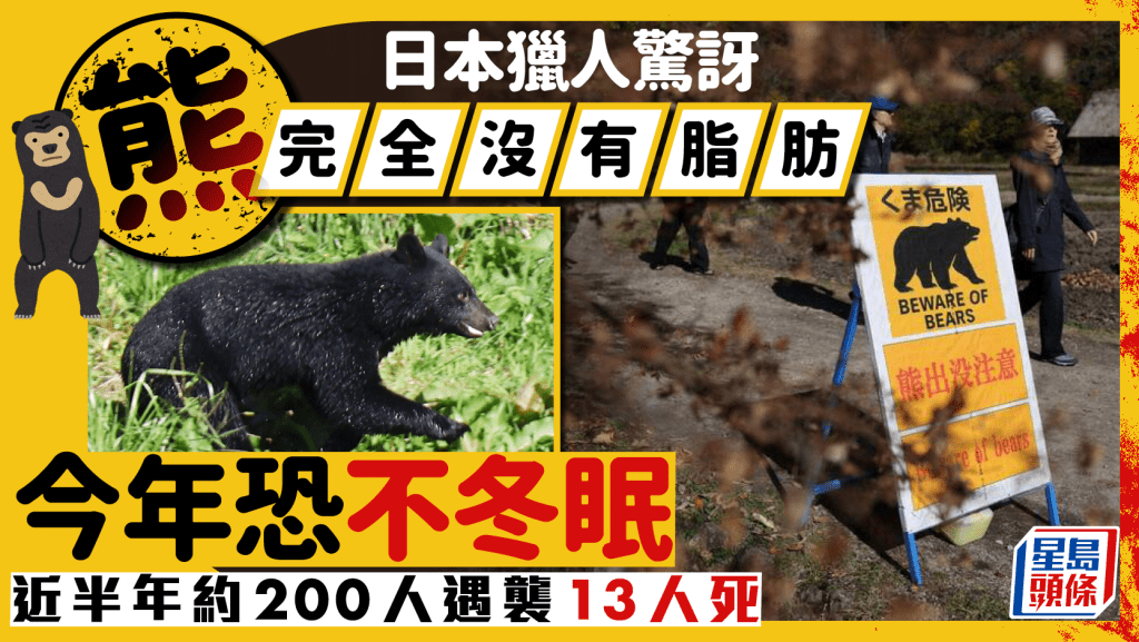 日本熊出没 | 今年恐不冬眠 近200人遇袭13死 猎人惊讶：完全没脂肪
