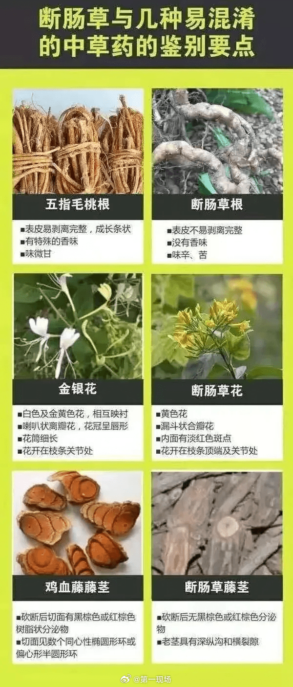 如何監別斷腸草？