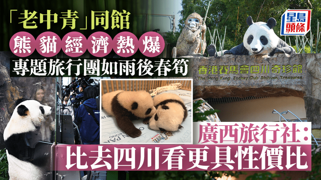 熊貓經濟︱海洋公園「老中青」同館 廣西旅行社:比去四川看更具性價比